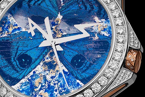ArtyA Butterfly Collection